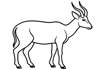 Fototapeta premium Saiga Antelope Line Drawing