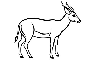 Saiga Antelope Line Drawing