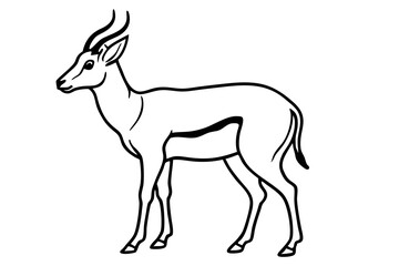 Saiga Antelope Line Drawing