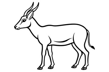 Saiga Antelope Line Drawing