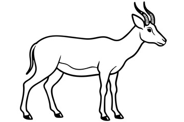 Saiga Antelope Line Drawing