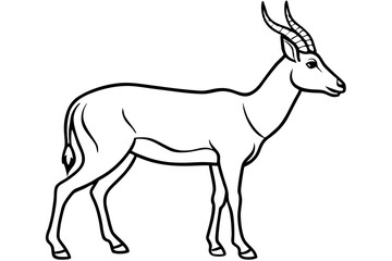 Fototapeta premium Saiga Antelope Line Drawing