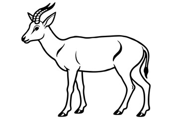 Saiga Antelope Line Drawing