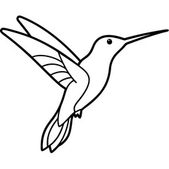 One-Line Art Hummingbird Vector Illustration