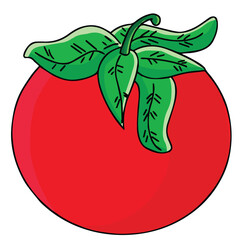 Cute cartoon hand drawn vector tomato clipart.