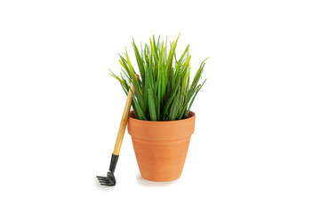 Terracotta flower pot with plant and rake. Isolated on white background.