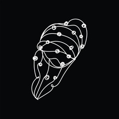 Abstract Seashell Line Art Illustration on Black Background