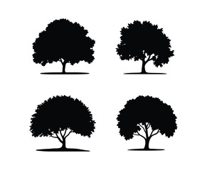 Beech Tree Silhouette EPS Clean Vector Design