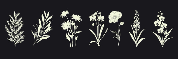 Elegant botanical silhouette collection, isolated vector set