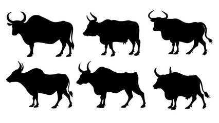 set of cow and bulls silhouette vector on white background