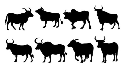 set of cow and bulls silhouette vector on white background