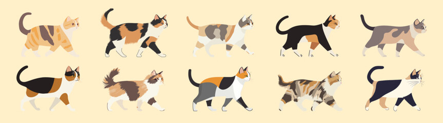 Stylized cats walking gracefully isolated illustration, vector set