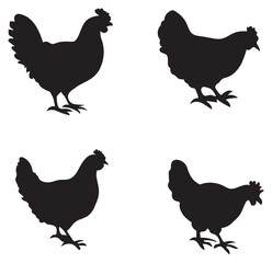 chicken silhouettes. vector set. PNG white background