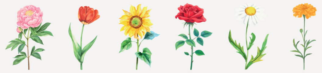 Vibrant watercolor floral collection, element vector set