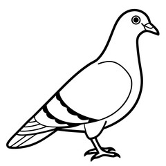 Sleek Pigeon Outline Vector Illustration
