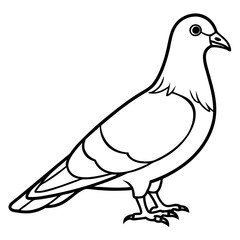 Sleek Pigeon Outline Vector Illustration