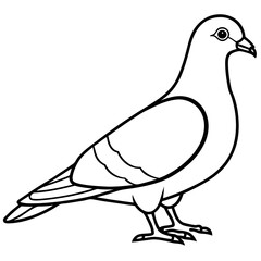Sleek Pigeon Outline Vector Illustration