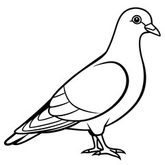 Sleek Pigeon Outline Vector Illustration