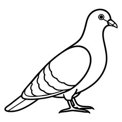 Sleek Pigeon Outline Vector Illustration