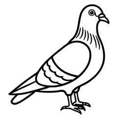 Sleek Pigeon Outline Vector Illustration