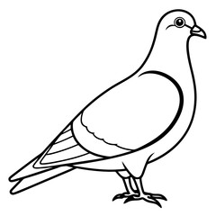 Sleek Pigeon Outline Vector Illustration