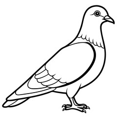 Sleek Pigeon Outline Vector Illustration