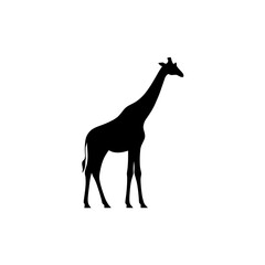 Fototapeta premium Giraffe silhouette vector illustration african animal wildlife safari design graphic art