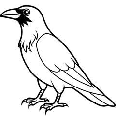 Stylized Crow Vector with Single Line Art