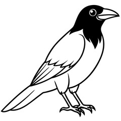 Stylized Crow Vector with Single Line Art