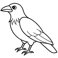 Stylized Crow Vector with Single Line Art