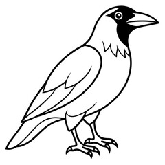 Stylized Crow Vector with Single Line Art