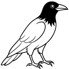 Stylized Crow Vector with Single Line Art