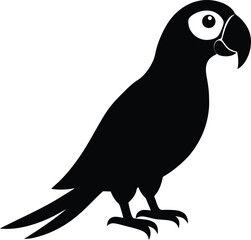  parrot silhouette on white background