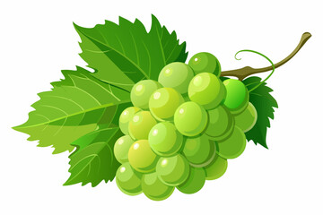 Green Grape Cluster with Vine Leaves – Photorealistic Fresh Fruit on White Background in Studio Lighting.