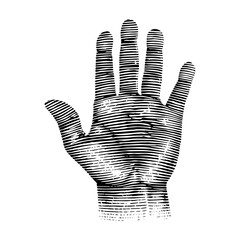 Human Hand Woodcut Detailed Black and White Vintage Illustration