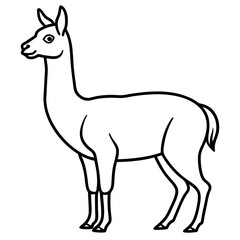 Vicuna in a Single Stroke Vector Design