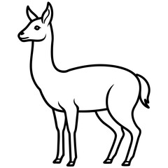 Vicuna in a Single Stroke Vector Design