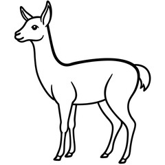 Fototapeta premium Vicuna in a Single Stroke Vector Design