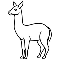 Fototapeta premium Vicuna in a Single Stroke Vector Design