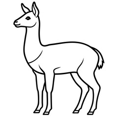 Vicuna in a Single Stroke Vector Design