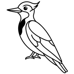 Woodpecker Outline Vector Design
