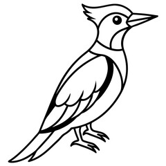 Woodpecker Outline Vector Design