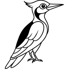 Woodpecker Outline Vector Design