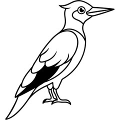Woodpecker Outline Vector Design