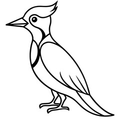 Woodpecker Outline Vector Design