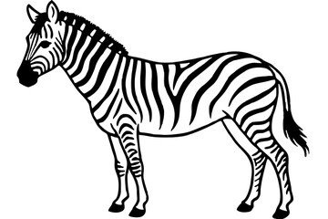 Zebra Silhouette Sketch