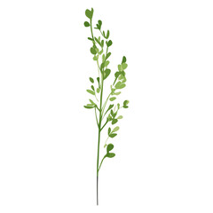 Obraz premium Flat vector of wild grass leaves leaf illustration vector