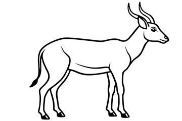 Obraz premium Wildlife Saiga Antelope Vector