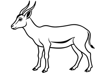 Wildlife Saiga Antelope Vector