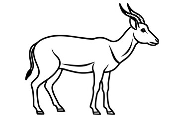 Wildlife Saiga Antelope Vector